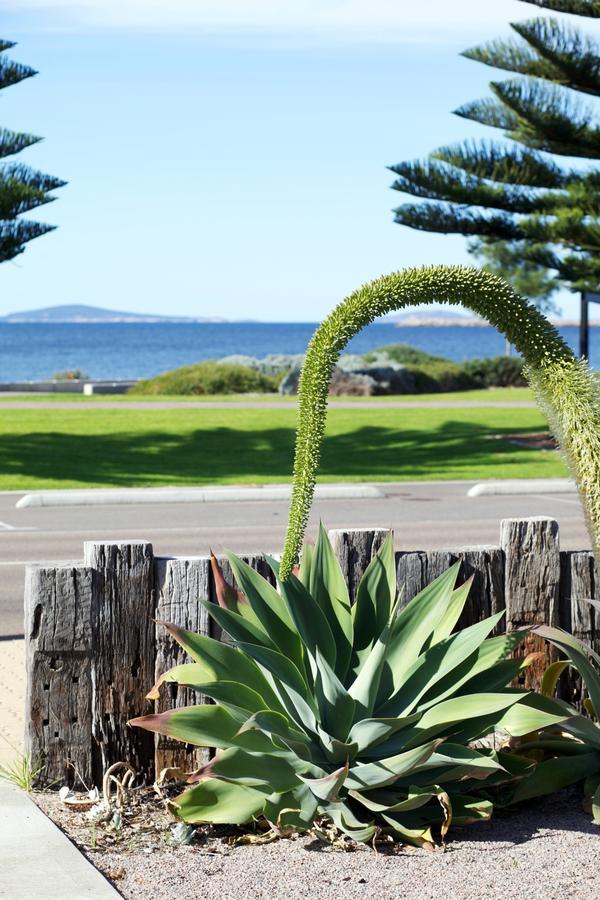 Esperance Island View Apartments Buitenkant foto